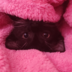 stroitelxyuni