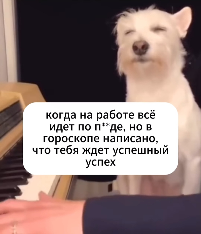 ... , , , , , , 