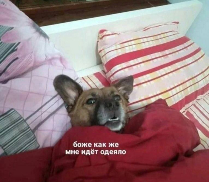 Настроение: