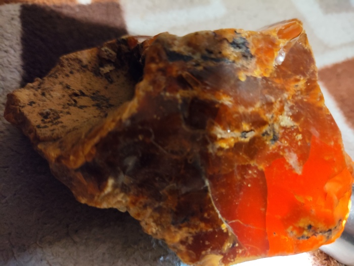 Окаменевшее дерево, но не янтарь.