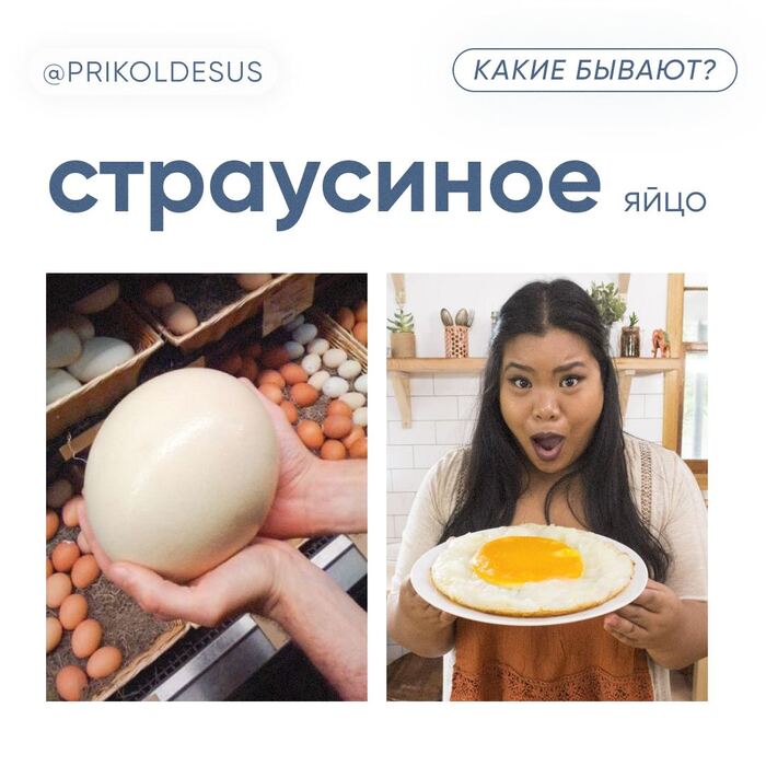     prikoldesus  , , 