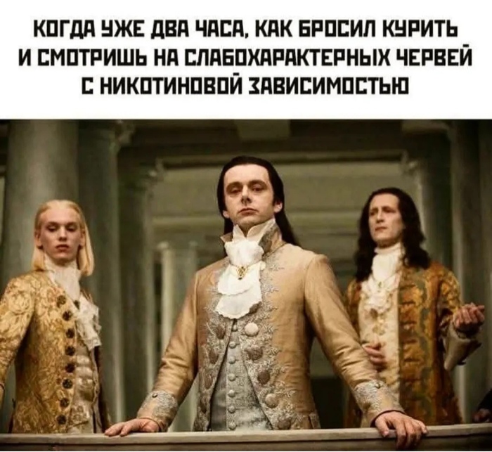   ,   , Telegram (), ,  