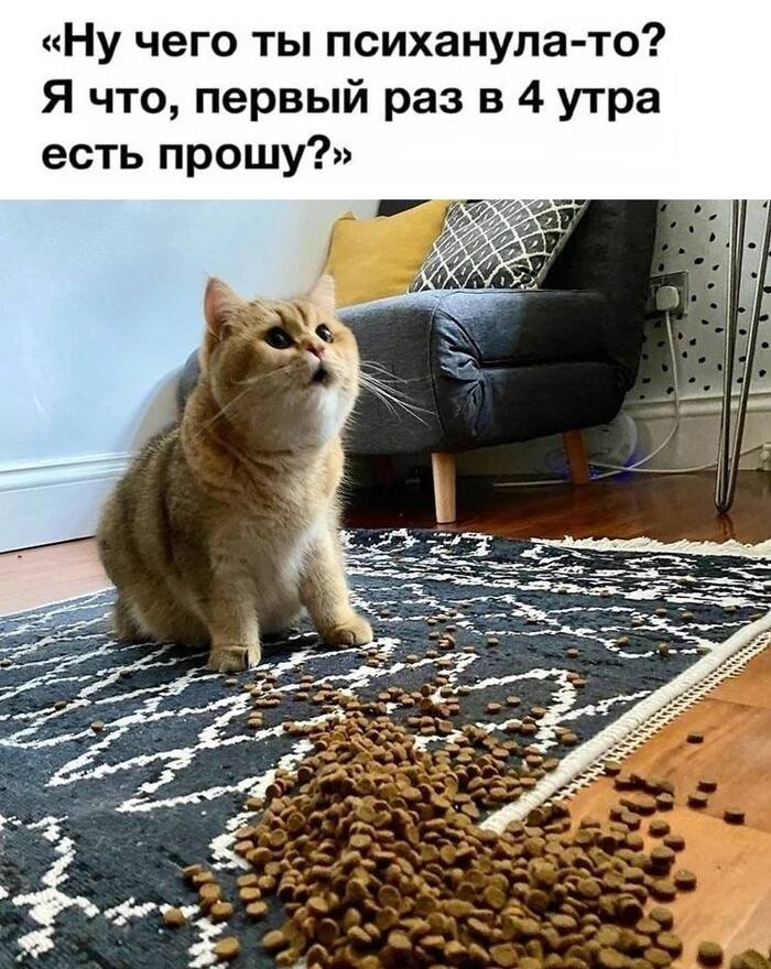   ,    ! ,   , 