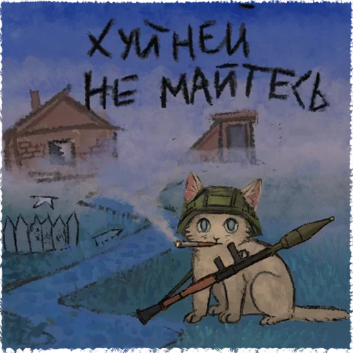 Котик дело говорит