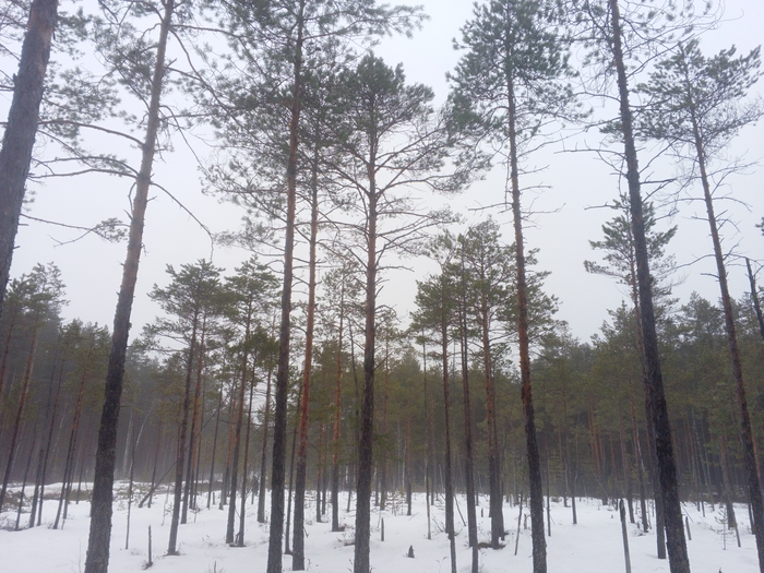 ��������� ���������� �������