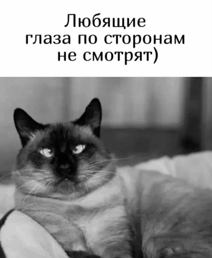 От любви до ненависти