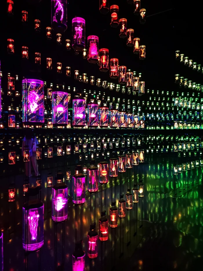 Дубайск Отпуск, Истории из жизни, Путешествия, Дубай, Шопинг, Бурдж-халифа, Поездка, Видео, Вертикальное видео, Короткие видео, Мат, Длиннопост