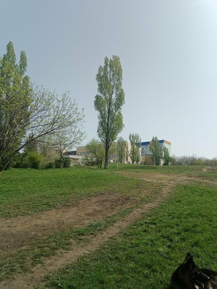 Тот самый склон с большим уклоном, на котором планируется спортивная площадка.