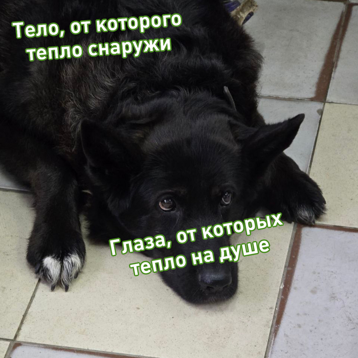 ����� �����-���������� ����������� ����� � ����