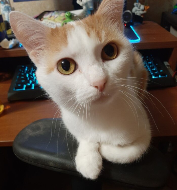    ,  ,   ...      .  ,  ,  , ,   ,   ,  , , ,  , , ,  , , 