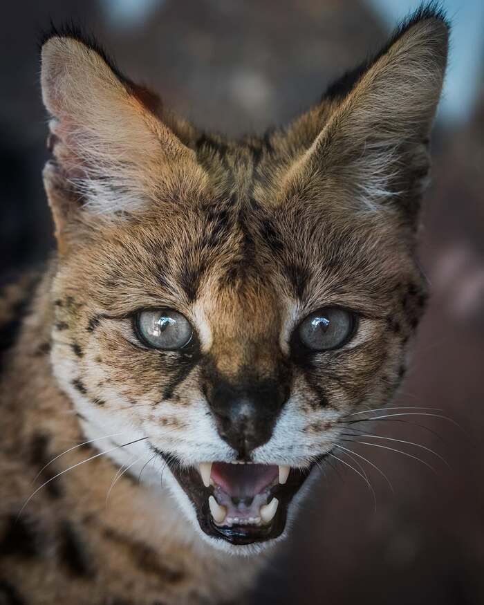   ,  ,  ,  ,  , , , 