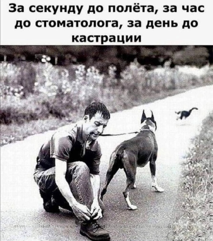  ,   ,  , , , , ,   