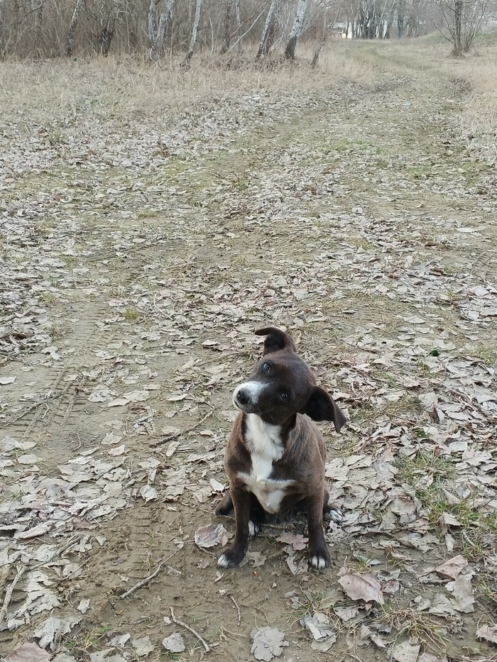 Зверюга оказалась вполне себе компанейской!