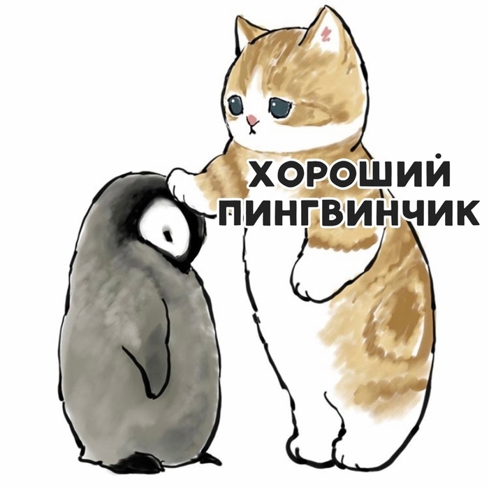 ,   ,  ,  , , , , , , , , ,  , , 