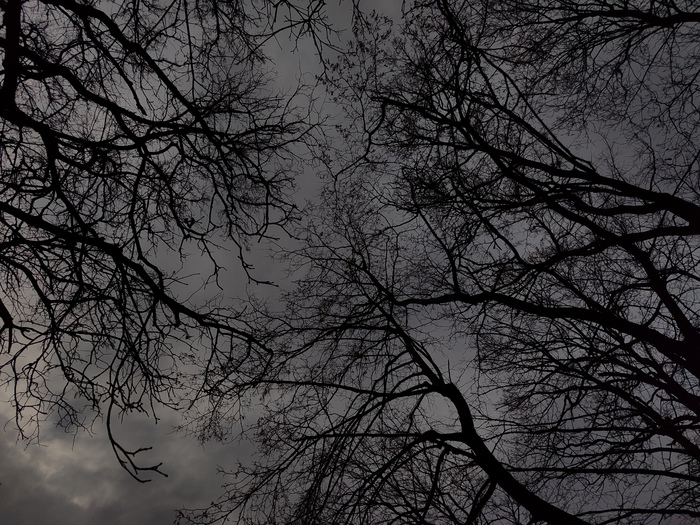 Весеннее небо