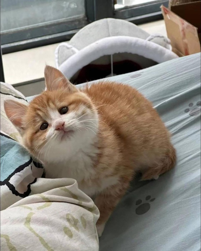    , 