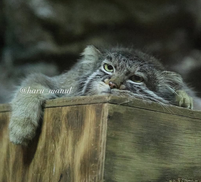 Давайте уже конец рабочего дня, а