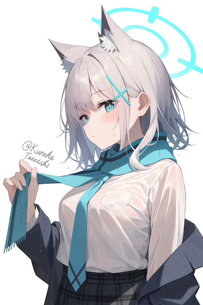 Sunaookami Shiroko #041 , Anime Art, Blue Archive, Sunaookami Shiroko, , , , Animal Ears, 