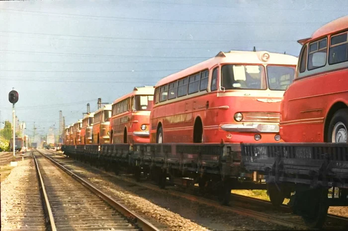 Подборка простых и потрясающих фотографий эпохи СССР. 20 раскрашенных фотографий, Часть XX Старое фото, 20 век, СССР, Сделано в СССР, Детство в СССР, Фотография, 60-е, 70-е, 80-е, 50-е, 40-е, Колоризация, Длиннопост
