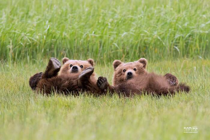 Загораем пяточки