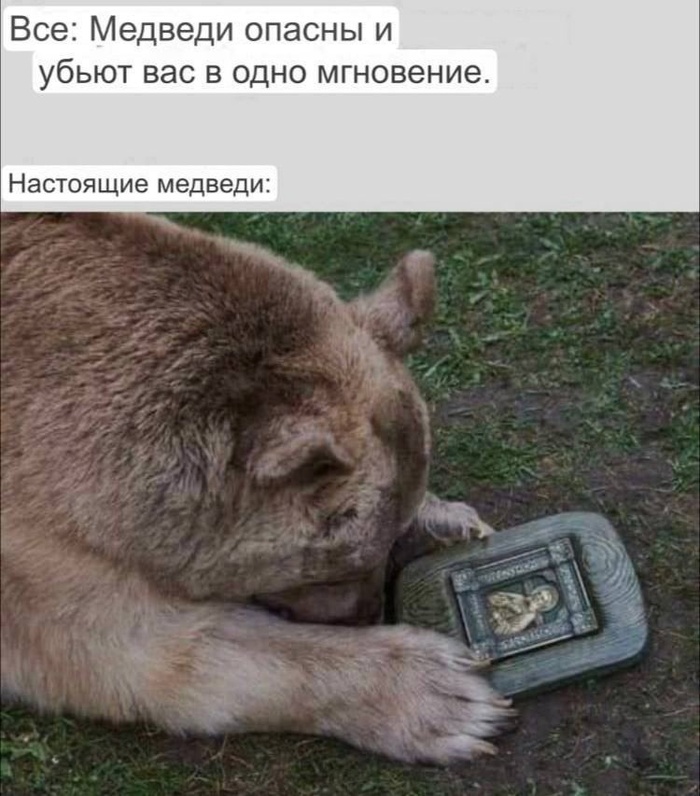  , ,   , , , ,  ,   