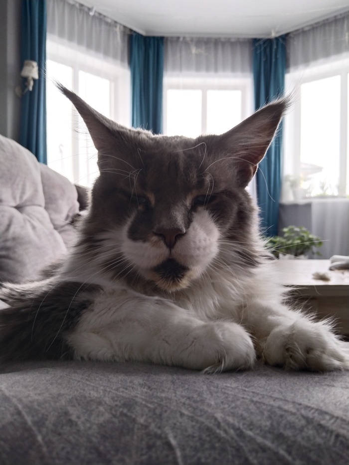 ����������