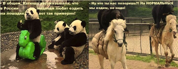 Милоты псто:)