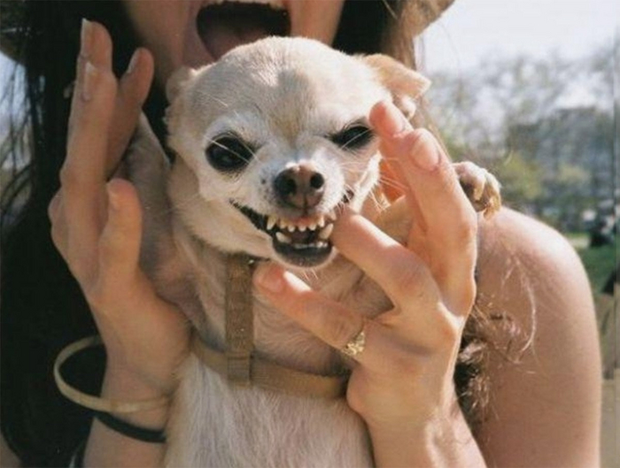 :        !          !