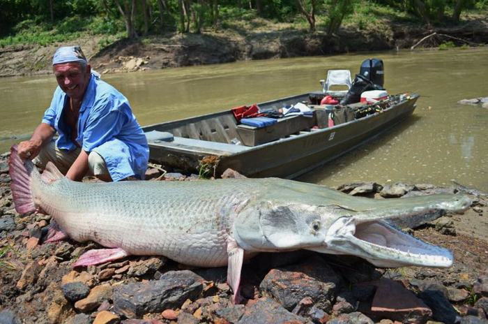 Странный мир. Раньше двуногими были рептилии. Сейчас — лысые приматы. Чушь какая-то!