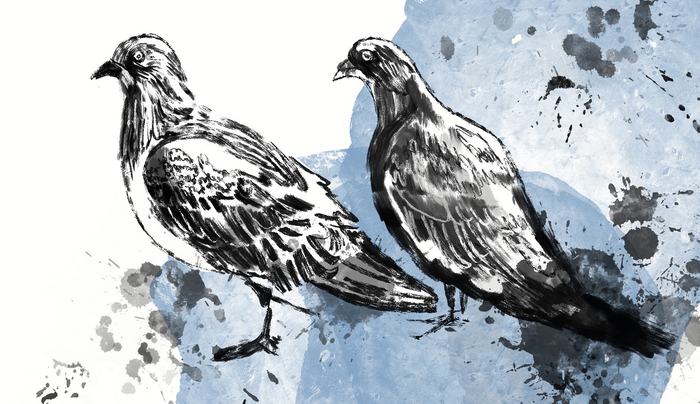   .   : <a href="https://pikabu.ru/story/na_stropilakh_pod_samoy_kryishey__vladislav_kuznetsov_12499702?u=https%3A%2F%2Fchtivo.spb.ru%2F&t=chtivo.spb.ru&h=2896317e82b8b8adc54953d9d80f6cdf299361d6" title="https://chtivo.spb.ru/" target="_blank" rel="nofollow noopener">chtivo.spb.ru</a>