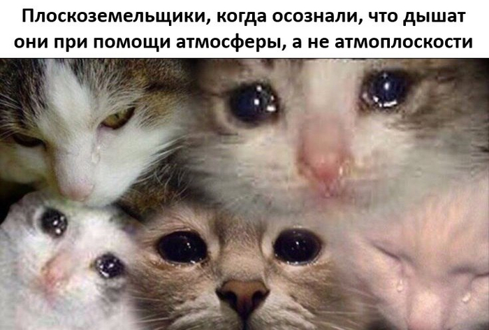  , ,   ,  , Telegram (), , , ,  , 