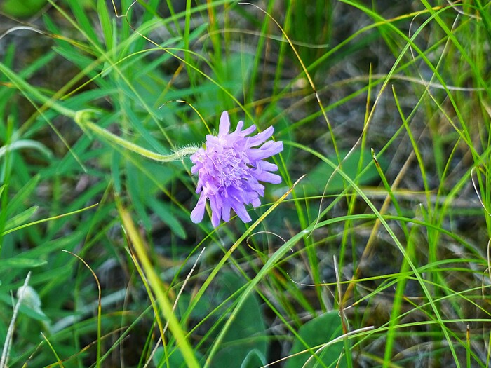 Один в поле