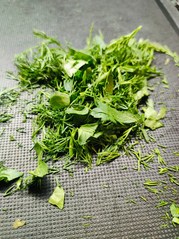 ���� ������.