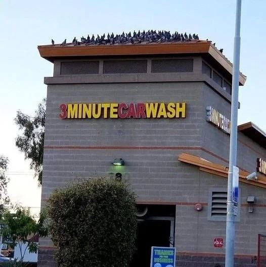 Креативная группа автомойки