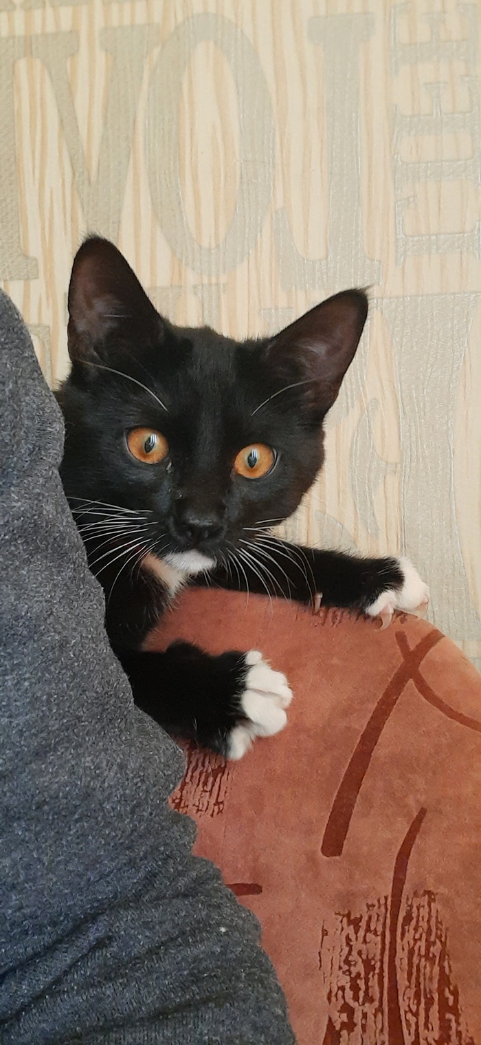 � ��� ��� ������???