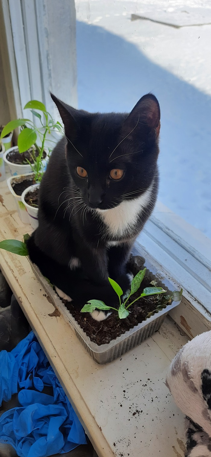 ����� �������??