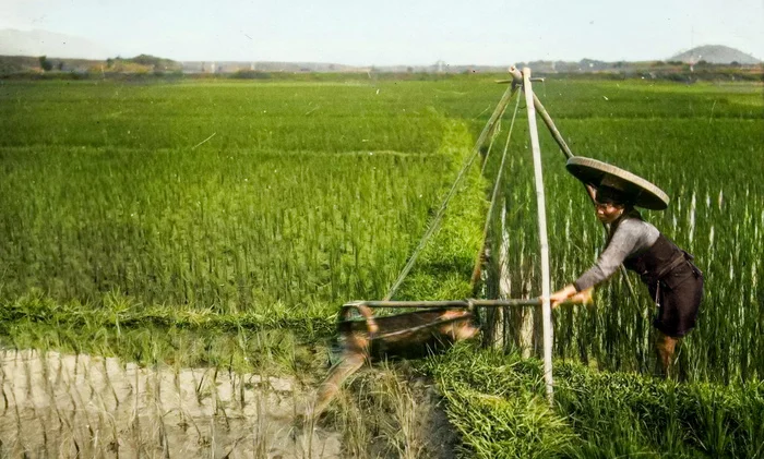 Любопытные фотографии из прошлого стран Азии. 20 раскрашенных фотографий ХХ века. Часть IV Старое фото, Историческое фото, 20 век, Фотография, Азия, Китай, Япония, Таиланд, Вьетнам, Колоризация, Длиннопост