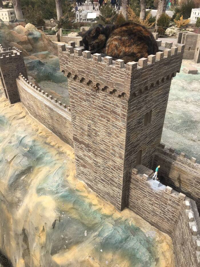 �������� ���� ����� � �����������