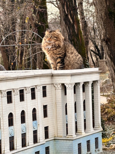 �������� ���� ����� � �����������