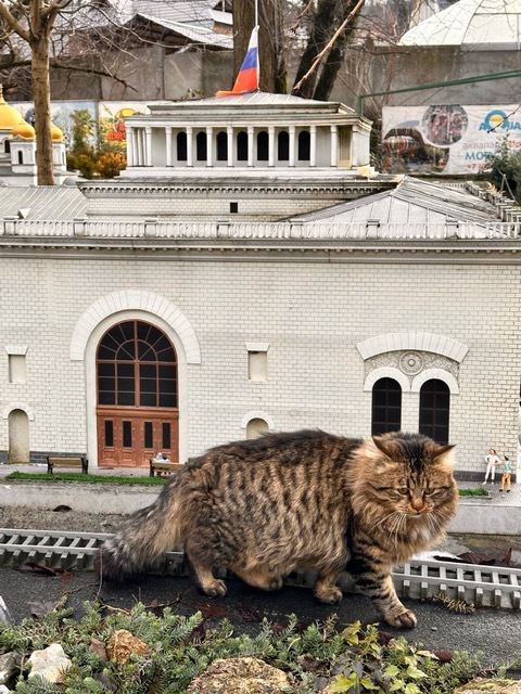 �������� ���� ����� � �����������