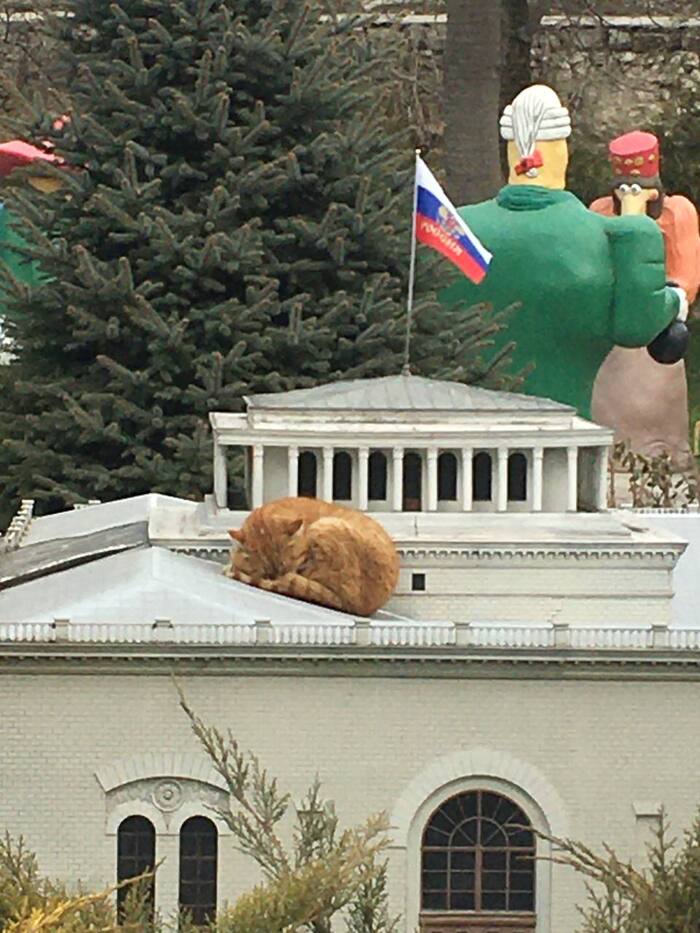 �������� ���� ����� � �����������