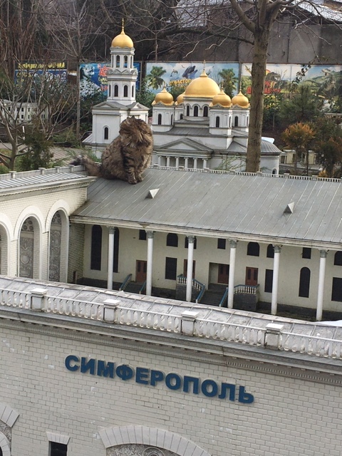 �������� ���� ����� � �����������