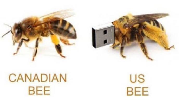 YouAssBee