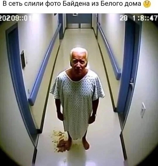     ))