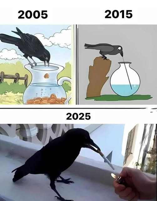 �������� ��������