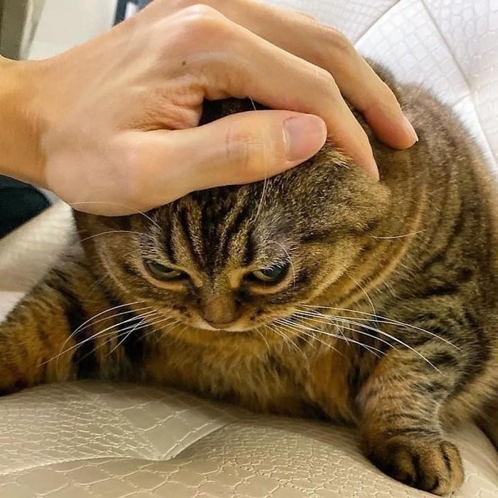   , 