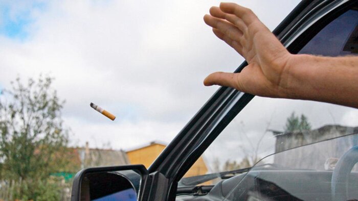 Ответ Holmovzbyr в «Соседка»