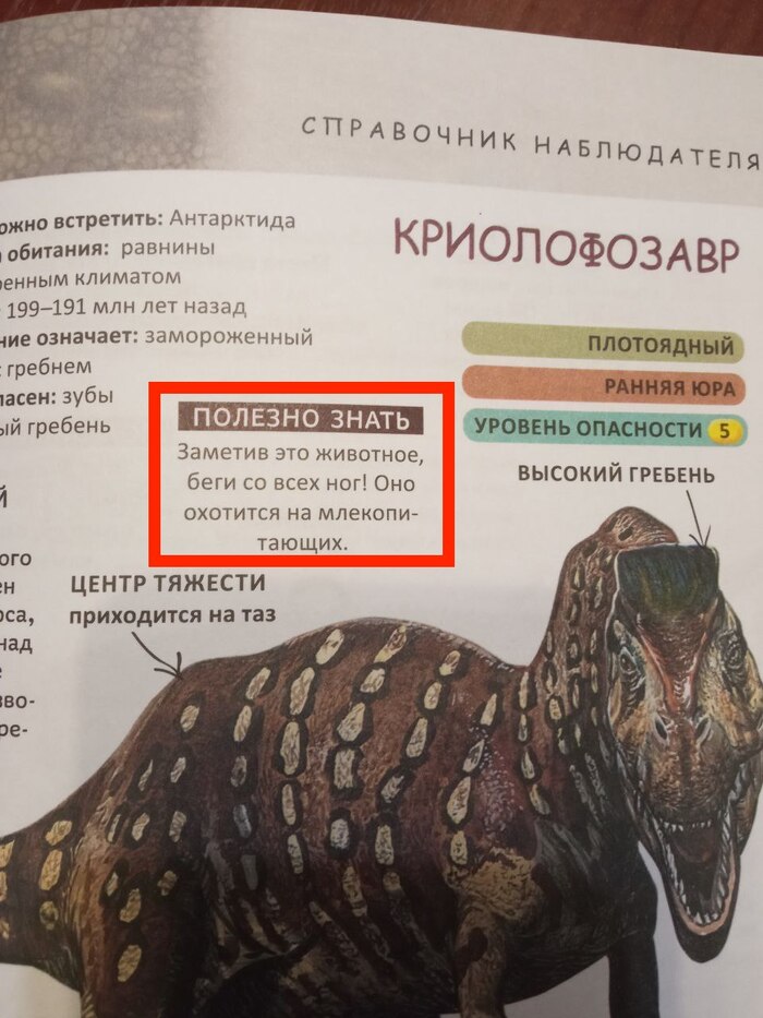 ������ ����������� ��������� ���������?