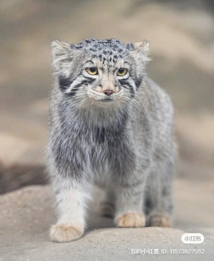 Солидный мужчина!