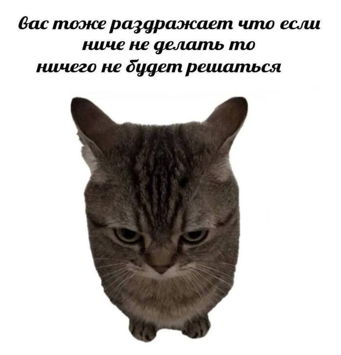   ?! , ,   ,   ,  , , , 